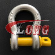 AS2741 Grade S Bow Shackle with Screw Pin-China LG™
