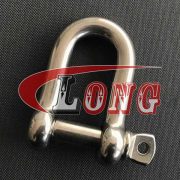 China Stainless Steel D Shackle with Screw pin Supply